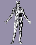 Salt Lake City Chiropractic Care
